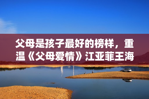父母是孩子最好的榜样，重温《父母爱情》江亚菲王海洋的爱情(父母是孩子最好的玩具读后感)