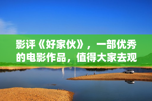 影评《好家伙》，一部优秀的电影作品，值得大家去观看！(好家伙影评全面解析)