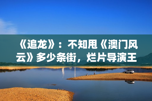 《追龙》：不知甩《澳门风云》多少条街，烂片导演王晶的翻身之作(分钟看完追龙)