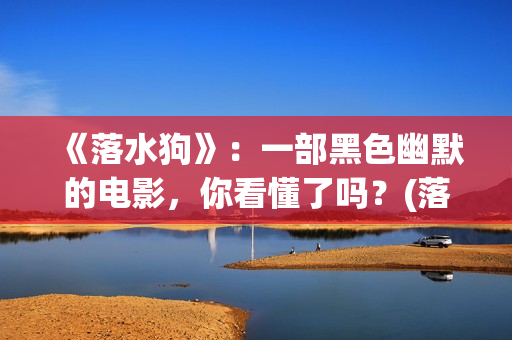《落水狗》：一部黑色幽默的电影，你看懂了吗？(落水狗这部电影想要表达什么)