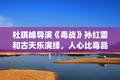 杜琪峰导演《毒战》孙红雷和古天乐演绎，人心比毒品更可怕(杜琪峰dvd)