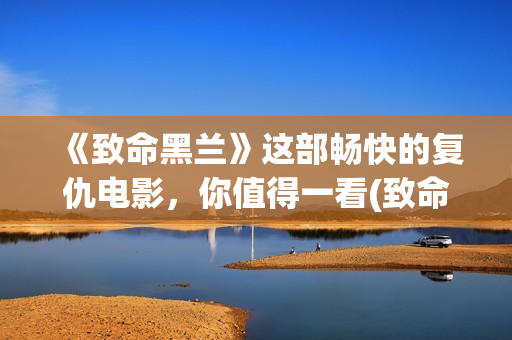 《致命黑兰》这部畅快的复仇电影，你值得一看(致命黑兰是什么意思)