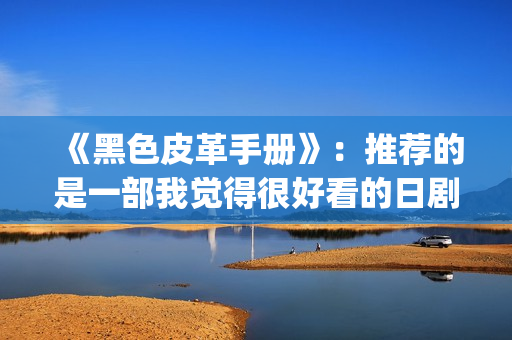 《黑色皮革手册》：推荐的是一部我觉得很好看的日剧(黑色皮革手册高清完整版)
