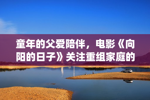 童年的父爱陪伴，电影《向阳的日子》关注重组家庭的亲子教育(父亲陪伴童年为题作文)
