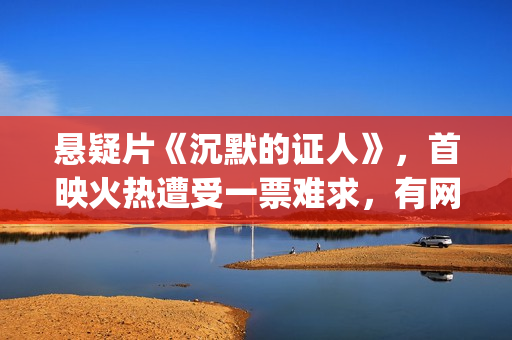 悬疑片《沉默的证人》，首映火热遭受一票难求，有网友质疑是炒作(电影沉默的)