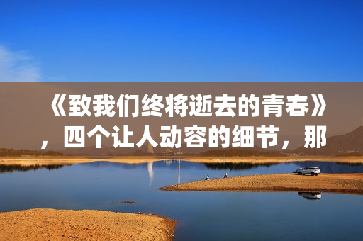 《致我们终将逝去的青春》，四个让人动容的细节，那是你的青春吗(致我们终将逝去的青春赵又廷杨子姗)