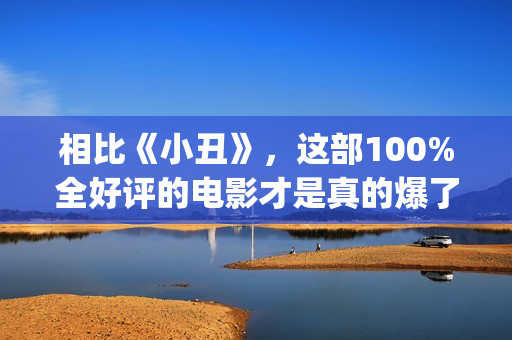相比《小丑》，这部100%全好评的电影才是真的爆了！(相比《小丑》的特点)