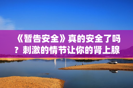 《暂告安全》真的安全了吗？刺激的情节让你的肾上腺素狂飙！(暂告安全中文版)