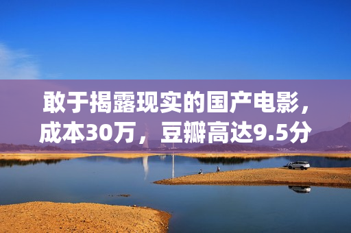 敢于揭露现实的国产电影，成本30万，豆瓣高达9.5分，只因太真实(敢于揭露真相的成语)