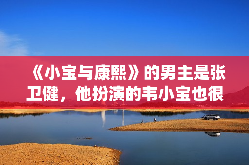 《小宝与康熙》的男主是张卫健，他扮演的韦小宝也很让人印象深刻。(小宝与康熙演员表全部名单)