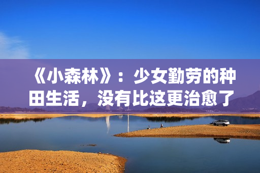 《小森林》：少女勤劳的种田生活，没有比这更治愈了(小森林经典)