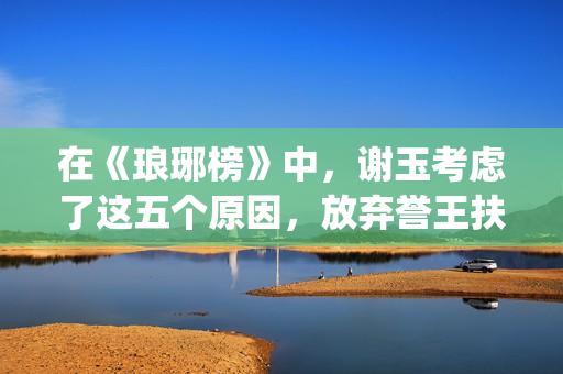 在《琅琊榜》中，谢玉考虑了这五个原因，放弃誉王扶持太子(《琅琊榜》中飞流在除夕吃了几个饺子?)