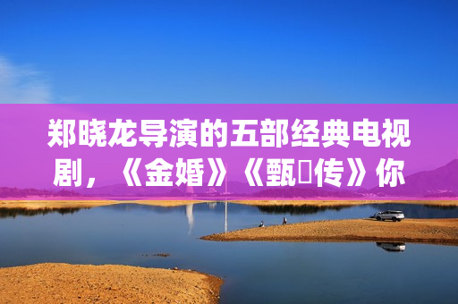 郑晓龙导演的五部经典电视剧，《金婚》《甄嬛传》你看过吗(总导演郑晓龙)