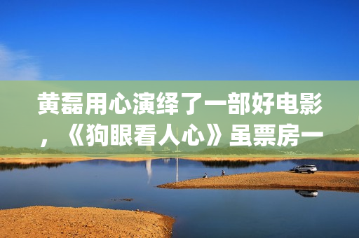 黄磊用心演绎了一部好电影，《狗眼看人心》虽票房一般但绝非烂片(找一下黄磊)