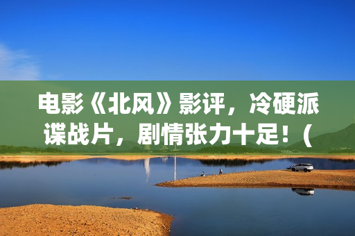 电影《北风》影评，冷硬派谍战片，剧情张力十足！(北风韩国电影北风)