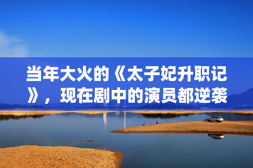 当年大火的《太子妃升职记》，现在剧中的演员都逆袭成功了(歌曲太初)
