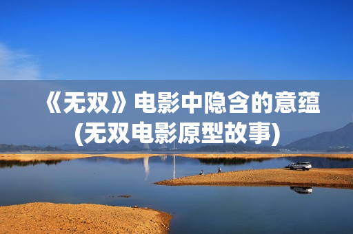 《无双》电影中隐含的意蕴(无双电影原型故事)
