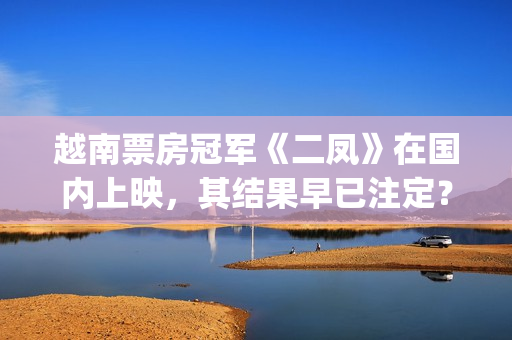越南票房冠军《二凤》在国内上映，其结果早已注定？(越南出名电影)