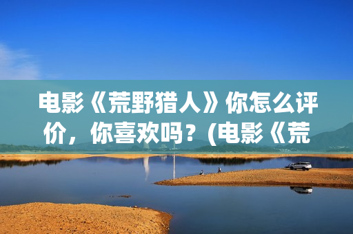 电影《荒野猎人》你怎么评价，你喜欢吗？(电影《荒野猎人》在线观看)