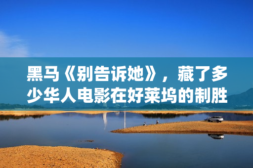 黑马《别告诉她》，藏了多少华人电影在好莱坞的制胜秘密(《别告诉她》)