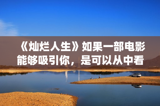 《灿烂人生》如果一部电影能够吸引你，是可以从中看到自己的影子(灿烂人生 who can)