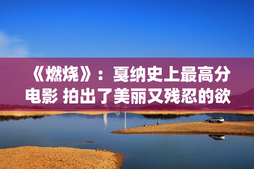 《燃烧》：戛纳史上最高分电影 拍出了美丽又残忍的欲望(燃烧电影得奖)