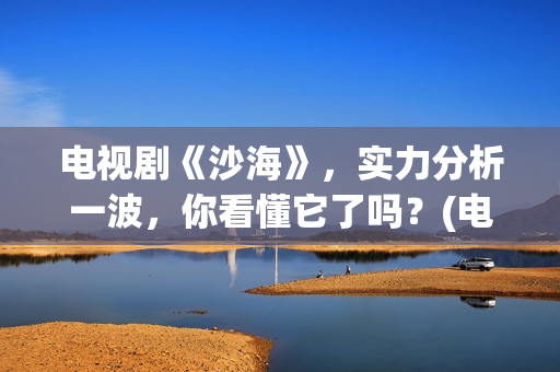 电视剧《沙海》，实力分析一波，你看懂它了吗？(电视剧《沙海》全集免费观看)