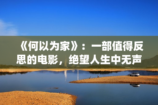 《何以为家》：一部值得反思的电影，绝望人生中无声的呐喊(何以为家(BDS/M)(栗子宽))