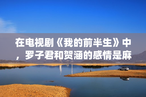 在电视剧《我的前半生》中，罗子君和贺涵的感情是麻烦出来的(我的电视剧百科)