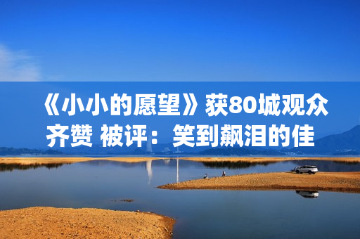 《小小的愿望》获80城观众齐赞 被评：笑到飙泪的佳作(小小的愿望歌曲)