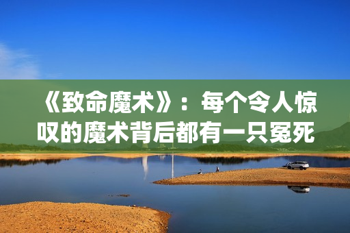 《致命魔术》：每个令人惊叹的魔术背后都有一只冤死的小鸟！(致命魔术 电影)