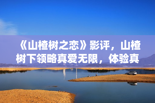 《山楂树之恋》影评，山楂树下领略真爱无限，体验真爱真情(《山楂树之恋》电影)