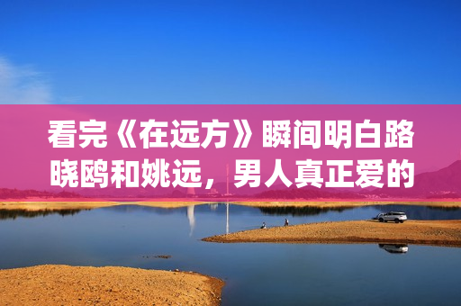 看完《在远方》瞬间明白路晓鸥和姚远，男人真正爱的是什么(电视剧在远方观后感悟)