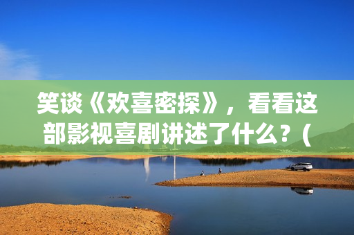 笑谈《欢喜密探》，看看这部影视喜剧讲述了什么？(欢喜密探 小说)