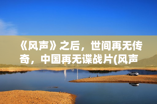 《风声》之后，世间再无传奇，中国再无谍战片(风声最后什么意思)