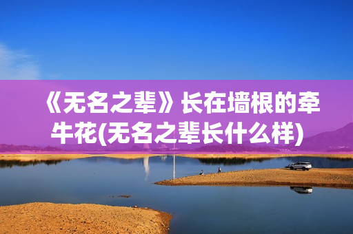 《无名之辈》长在墙根的牵牛花(无名之辈长什么样)