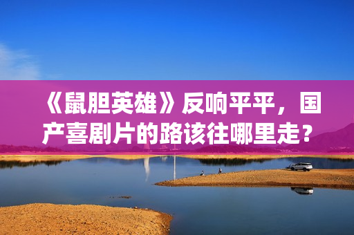 《鼠胆英雄》反响平平，国产喜剧片的路该往哪里走？(鼠胆英雄那个镜头是真的吗)
