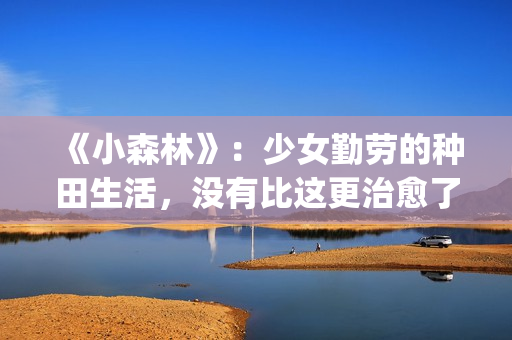 《小森林》：少女勤劳的种田生活，没有比这更治愈了(小森林 演员)