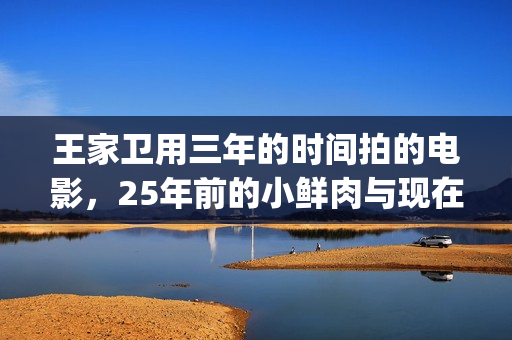 王家卫用三年的时间拍的电影，25年前的小鲜肉与现在有何不同？(王家卫成名作)