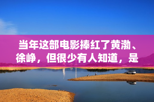 当年这部电影捧红了黄渤、徐峥，但很少有人知道，是刘德华投资的(这部电影是几几年拍的)