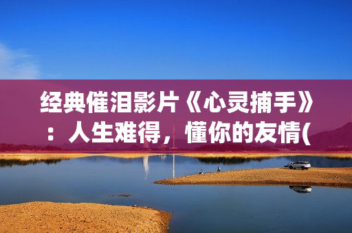 经典催泪影片《心灵捕手》：人生难得，懂你的友情(经典电影催泪片段)