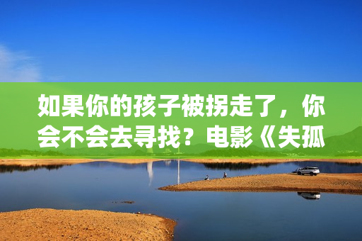 如果你的孩子被拐走了，你会不会去寻找？电影《失孤》解析评价(如果你的孩子被欺负了,家长会怎么办)