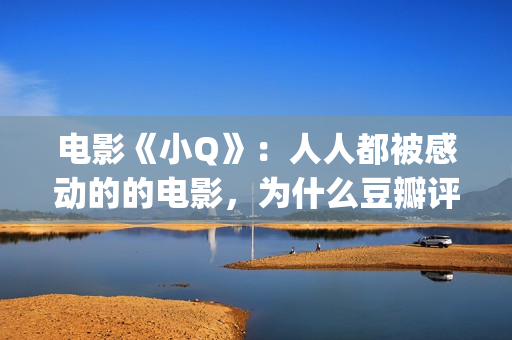 电影《小Q》：人人都被感动的的电影，为什么豆瓣评分却在走低？(电影小q中文版)