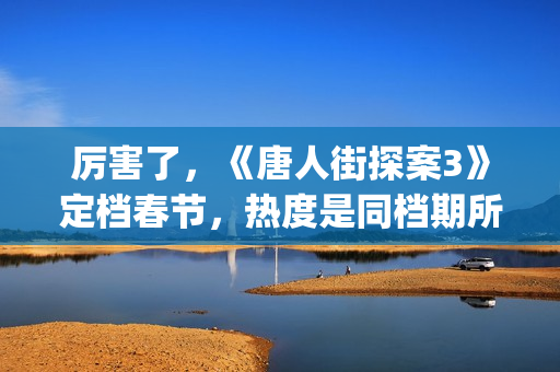 厉害了，《唐人街探案3》定档春节，热度是同档期所有电影的总和(唐人 dj)