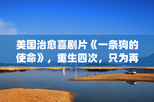 美国治愈喜剧片《一条狗的使命》，重生四次，只为再次遇见你！(美国治愈喜剧片排名)