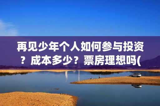 再见少年个人如何参与投资？成本多少？票房理想吗(再见少年歌)