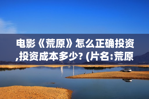 电影《荒原》怎么正确投资,投资成本多少? (片名:荒原)