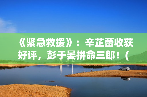 《紧急救援》：辛芷蕾收获好评，彭于晏拼命三郎！(紧急救援演员表名单)