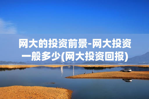 网大的投资前景-网大投资一般多少(网大投资回报)