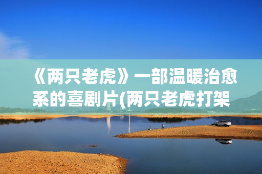 《两只老虎》一部温暖治愈系的喜剧片(两只老虎打架,为什么非要打个你死我活?)
